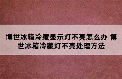 博世冰箱冷藏显示灯不亮怎么办 博世冰箱冷藏灯不亮处理方法